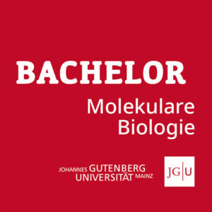 Bachelor Molekulare Biologie