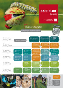 Übersicht | Studiengang Bachelor Biologie | JGU Mainz