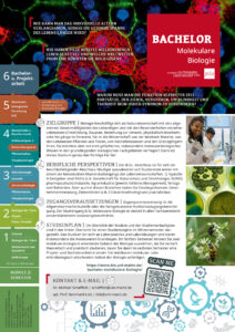 Flyer | Studiengang Bachelor Molekulare Biologie | JGU Mainz