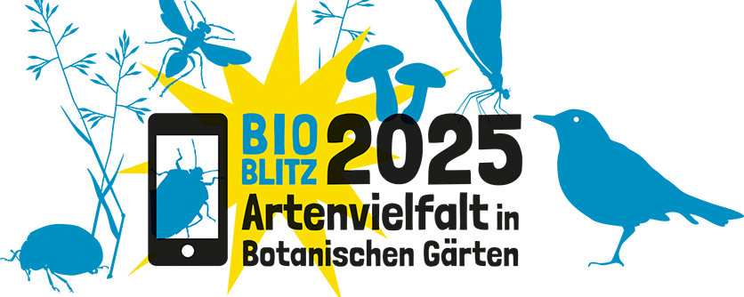 Woche der Botanischen Gärten vom 14. bis zum 22. Juni 2025 | Gemeinsam die Artenvielfalt im Botanischen Garten Mainz entdecken